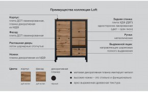 Гостиная Лофт дуб вотан в Лабытнанги - labytnangi.magazinmebel.ru | фото - изображение 6