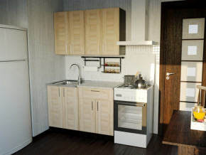 Кухонный гарнитур Ника лайт 1200 мм в Лабытнанги - labytnangi.magazinmebel.ru | фото - изображение 1