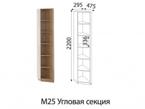 М25 Угловая секция в Лабытнанги - labytnangi.magazinmebel.ru | фото