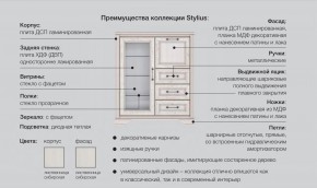 Прихожая модульная Стилиус в Лабытнанги - labytnangi.magazinmebel.ru | фото - изображение 2