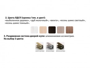 Шкаф-купе Акцент-Сим Д 1000-600 шимо тёмный в Лабытнанги - labytnangi.magazinmebel.ru | фото - изображение 3
